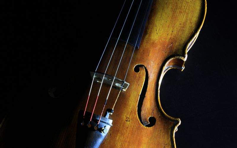 Light color violin in the shadows ecommerce merchandising section services