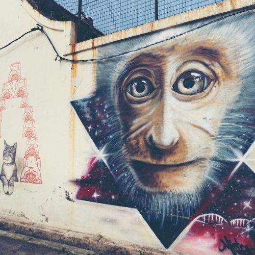 Street art in of monkey and cat graffiti in Georgetown Penang Malaysia